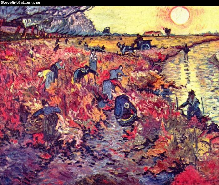 Vincent Van Gogh Die roten Weingarten